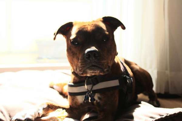 Fotochallange Nr. 57     PORTRÄT.   Beendet!!!!!!!!-Beitrag-Bild