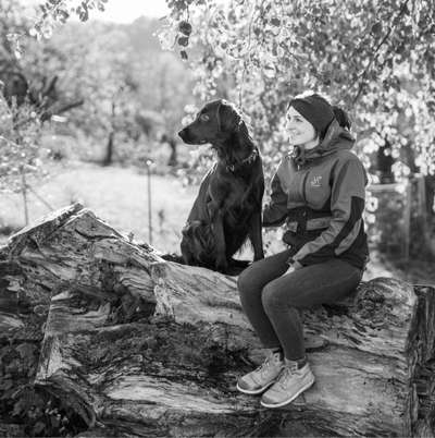 Hundetreffen-Leinenführigkeit mit anderen Hunden