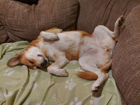 CHALLENGE NR. 34 - Liege-/Schlafpositionen-Beitrag-Bild