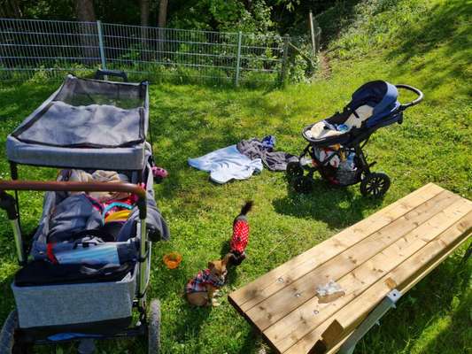 Pullis, Jacken, Hütte und alles sonstiges-Beitrag-Bild