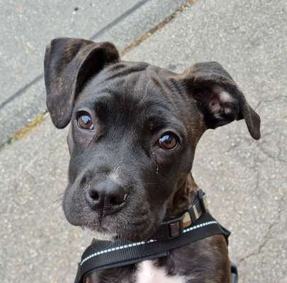 Fotochallange Nr. 57     PORTRÄT.   Beendet!!!!!!!!-Beitrag-Bild