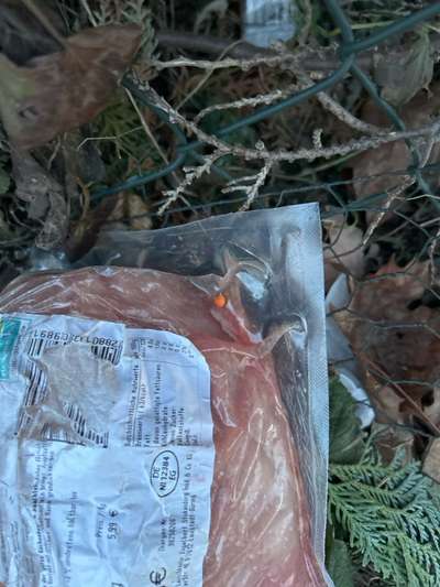 Giftköder-Fleisch verpackt-Bild