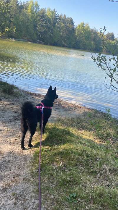 Fotowettbewerb Natur-Beitrag-Bild