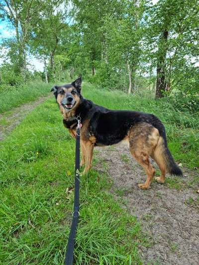 Theos  Fotochallenge Nummer 2-Beitrag-Bild