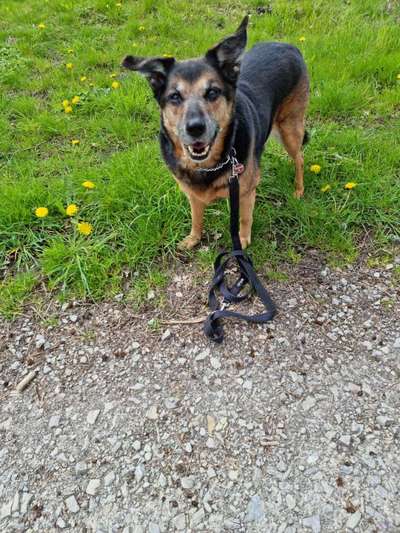 Senioren-Beitrag-Bild