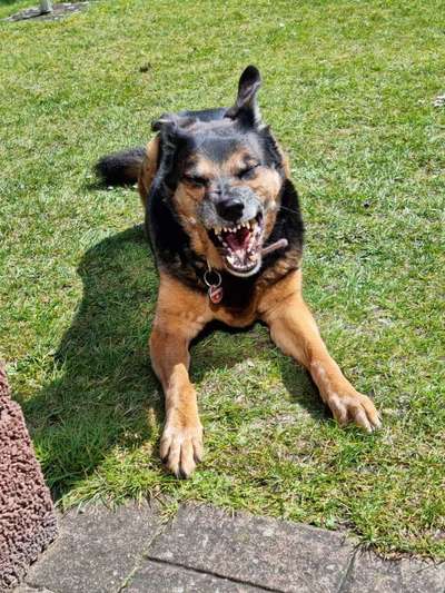 Foto-Challenge Nr. 90: Lebensfreude-Beitrag-Bild