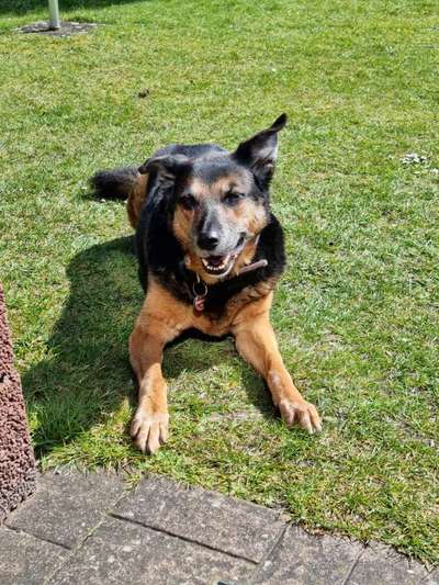 Lieblingsbild-Beitrag-Bild