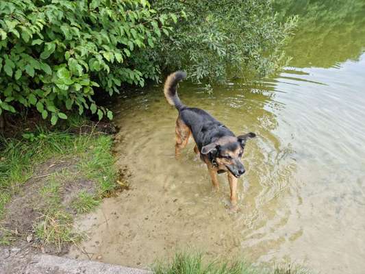 Fotochallenge Nr. 94 It's summer time-Beitrag-Bild