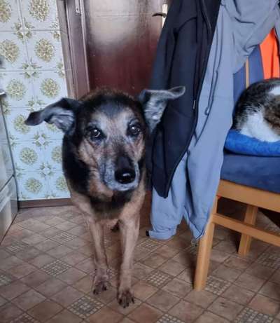 Senioren-Beitrag-Bild