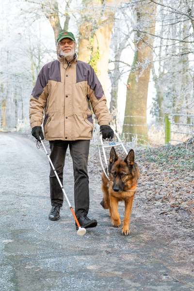 Schäferhund-Beitrag-Bild