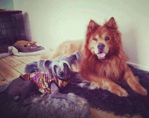 Immer lächeln !-Beitrag-Bild