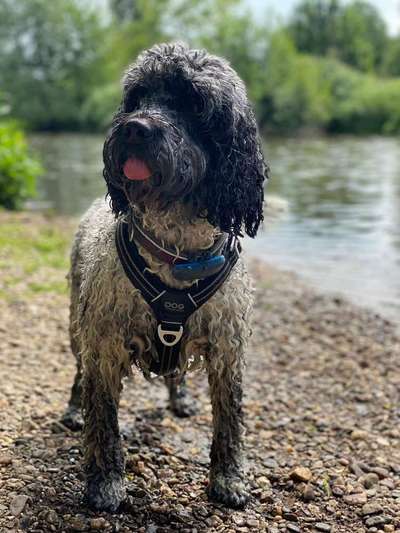 Theos Fotochallange Nummer 4-Beitrag-Bild