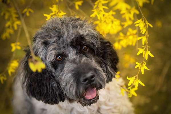 Fotochallange Nr. 57     PORTRÄT.   Beendet!!!!!!!!-Beitrag-Bild