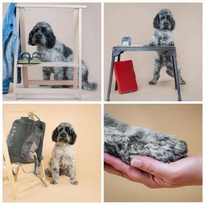 32. Collagen Challenge - eure liebsten gestellten Fotos-Beitrag-Bild