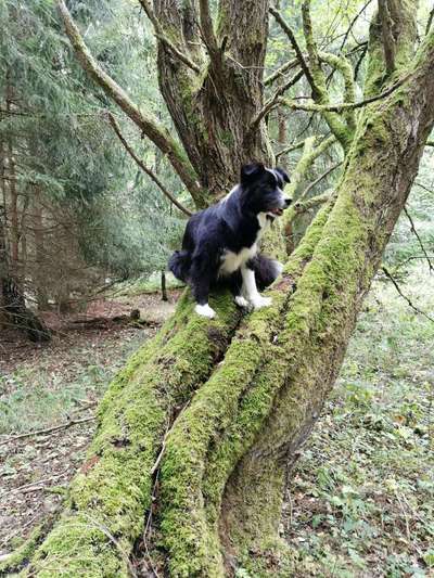 27. Handy Fotochallenge-Beitrag-Bild