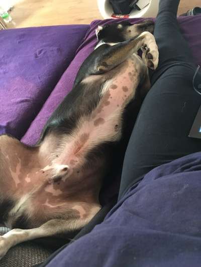 Fotochallenge Nr.65-Beitrag-Bild