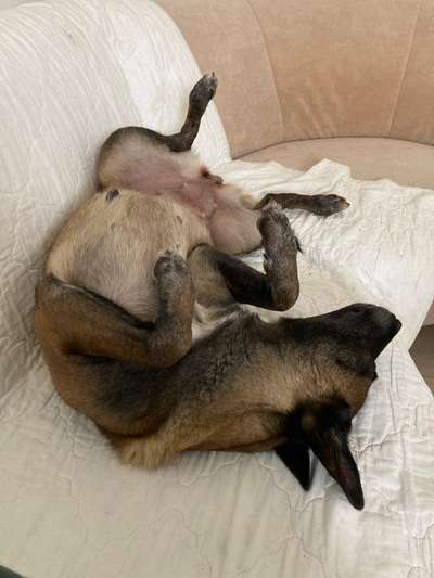 Fotochallenge Nr.65-Beitrag-Bild