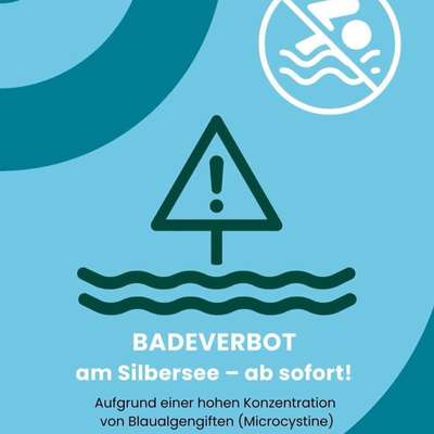 Giftköder-Blaualgen am Silbersee - Badeverbot-Bild