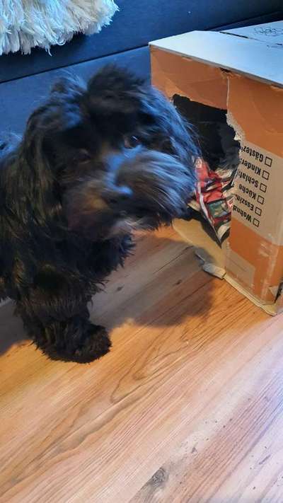 Un...scharf Bilder-Beitrag-Bild