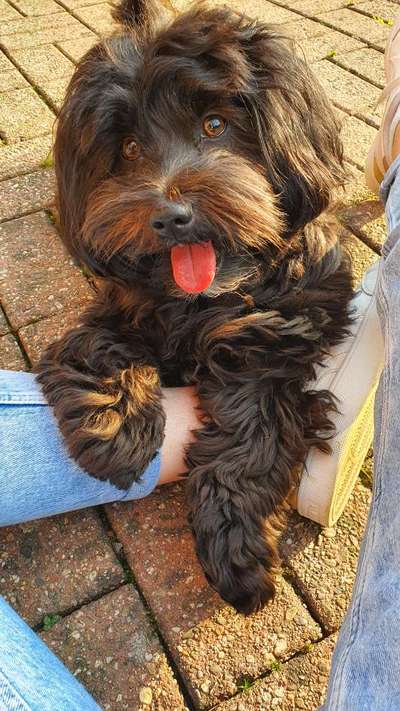 Gibt es Namens-Verwandte-Beitrag-Bild