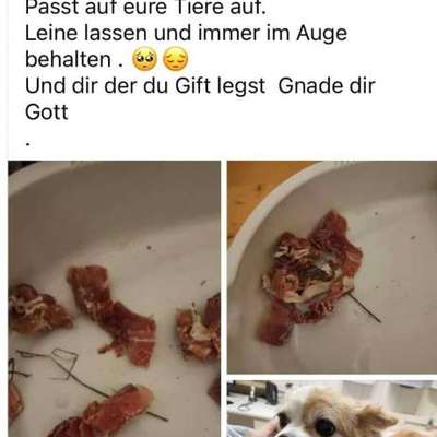 Giftköder-Achtung Giftköder-Bild