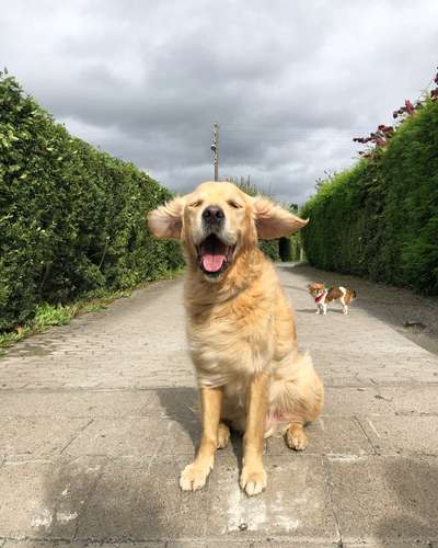 Fotochallenge Nr 50 Vom Winde verweht-Beitrag-Bild