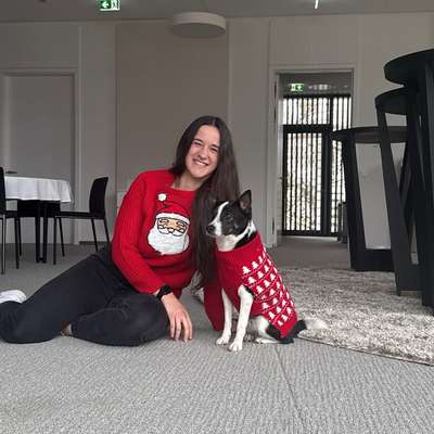 Hundetreffen-Spazieren gehen und Spieltreffen-Bild