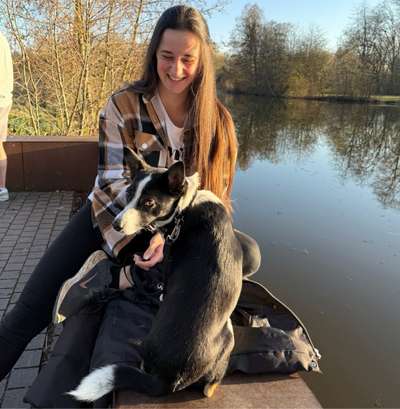 Hundetreffen-Spazieren gehen und Spieltreffen