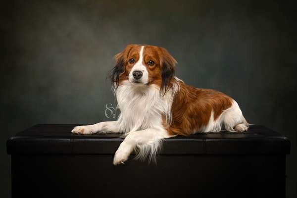 %{de_profession_title}-Mini Shooting Aktion im Studio 08.02.25-Bild