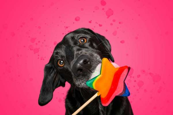 Tierfotografen-Sissygraphics-Bild