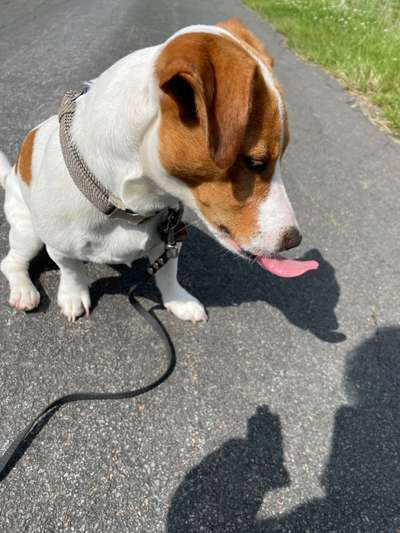 Handyfoto challenge Nr. 13: Waschlappen raus!-Beitrag-Bild