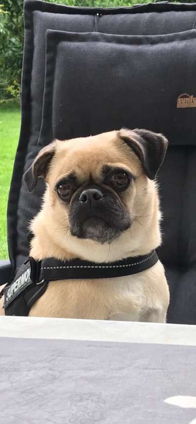 Fotochallange Nr. 57     PORTRÄT.   Beendet!!!!!!!!-Beitrag-Bild