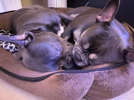 Die unbequemsten und lustigsten Schlafpositionen-Beitrag-Bild