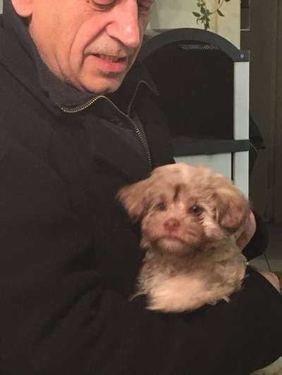 Das erste Foto-Beitrag-Bild