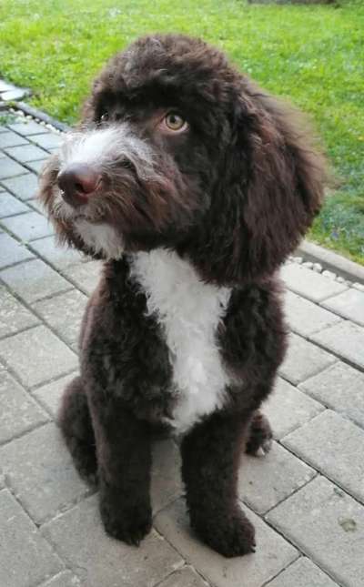 Lieblingsbild-Beitrag-Bild