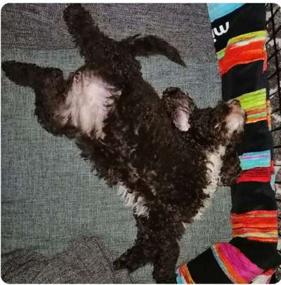 Schlafzeit!💖-Beitrag-Bild