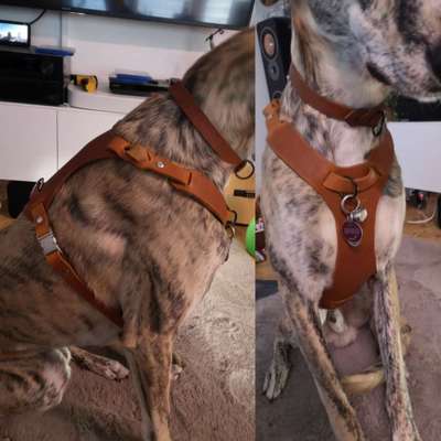 Geschirr Empfehlung-Beitrag-Bild