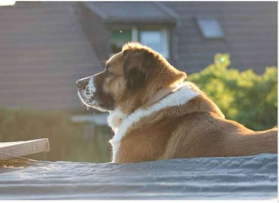 Wer bin ich?-Beitrag-Bild