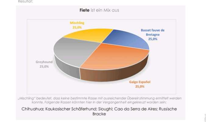 Wer bin ich?-Beitrag-Bild