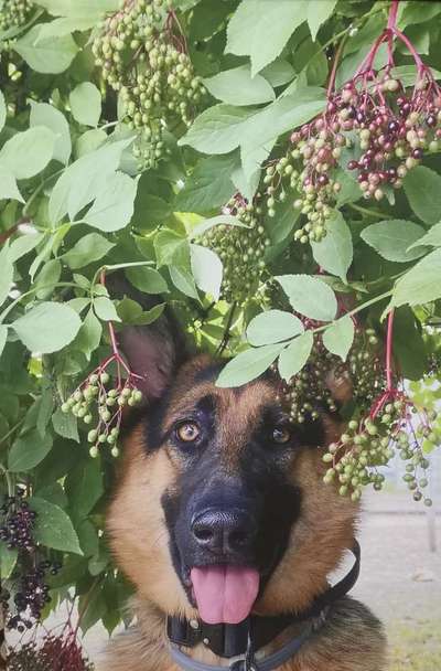 Lieblingsbild-Beitrag-Bild