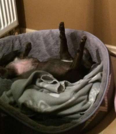 Die unbequemsten und lustigsten Schlafpositionen-Beitrag-Bild