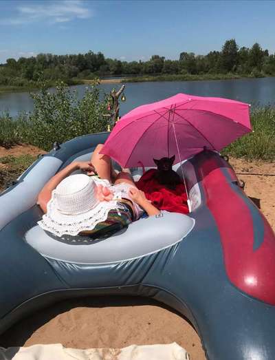 Lustige Bilder-Beitrag-Bild