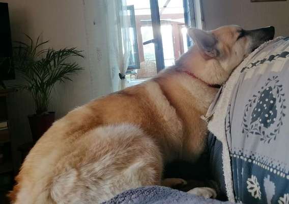 Foto Challenge Nr. 134-Beitrag-Bild