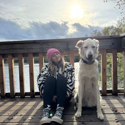 Hundetreffen-Gemeinsame Gassirunden & neue Hundefreundschaften-Bild