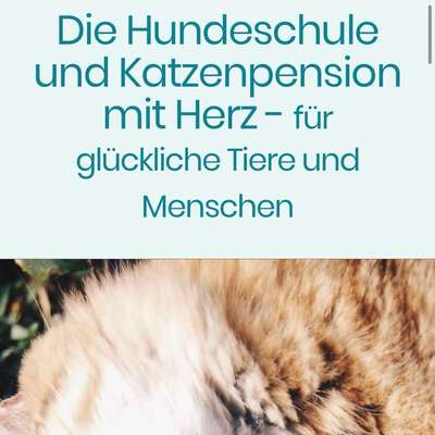 Hundeschulen-Rasdorfer Felltreff-Bild