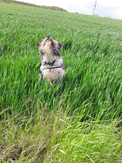 Fotochallenge Nr 50 Vom Winde verweht-Beitrag-Bild