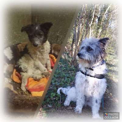 28. Handy-Fotochallenge - Damals und heute-Beitrag-Bild