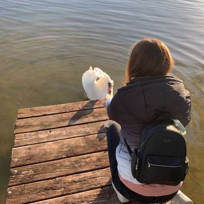 Hundetreffen-Gemeinsame Spaziergänge mit Trainingseinheiten-Profilbild