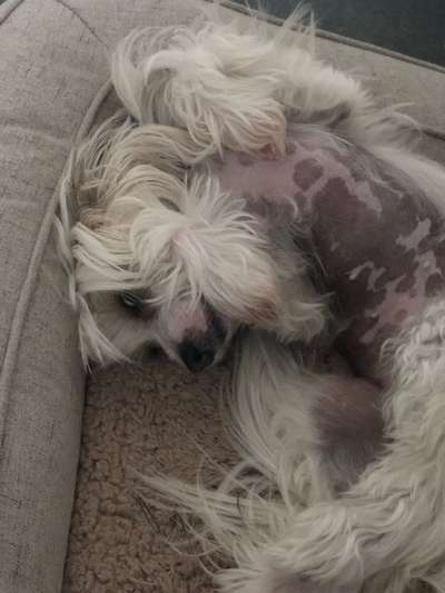 Fotochallange Nr. 6 Die irrsten Blicke-Beitrag-Bild