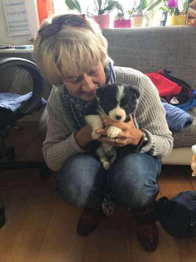 Das erste Foto-Beitrag-Bild